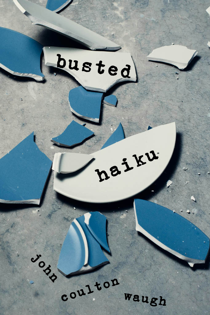 Broken plate - book cover imag...